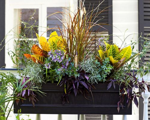 Pollinator-Friendly Boxes