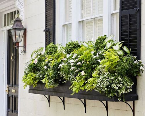 Vertical Gardens