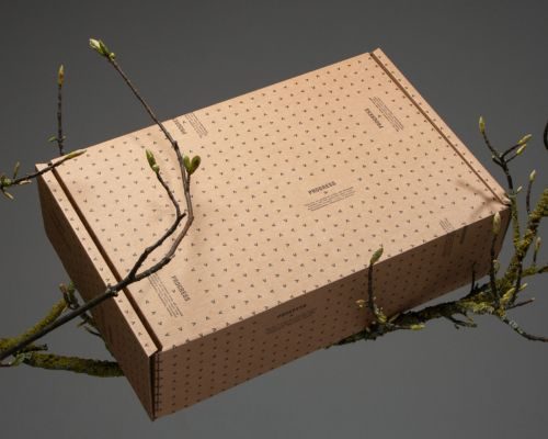 Eco-Friendly Kraft Paper Boxes - PackPaa