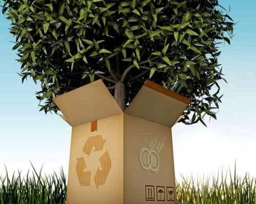 Environmental Packaging - PackPaa