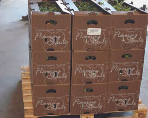 Garden Centres - PackPaa