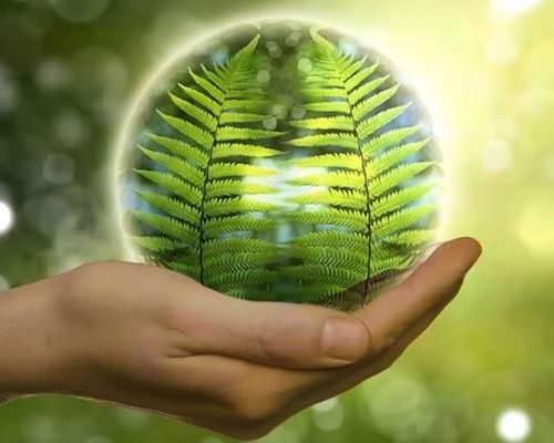 Global Environmental Consciousness - Packpaa