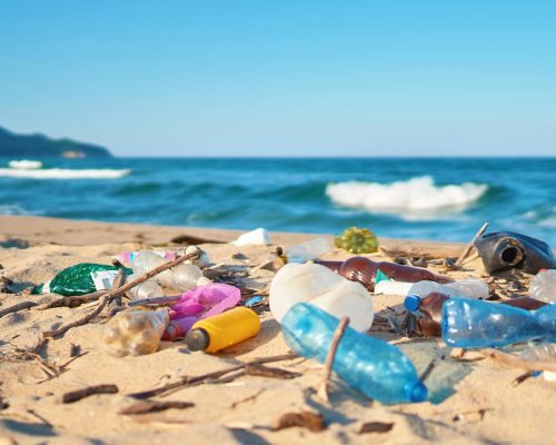 Impacts of Plastic Packaging or Waste - PackPaa