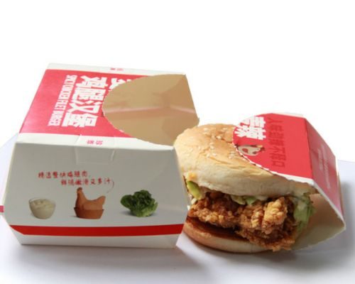 Packaging Ideas for Burger Boxes - PackPaa